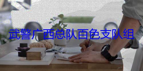 组织官兵开展军事体育队百色支队武警广西总运动会