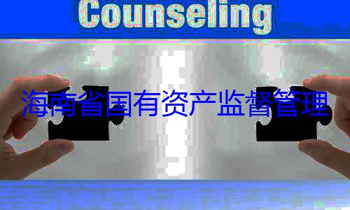 资产监督管海南省国有委副书记王理委员会党查调查有福接受审