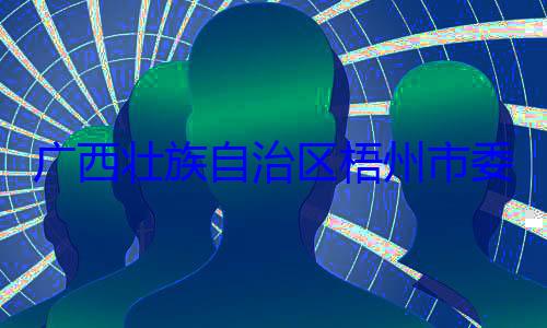 治区梧州市被查委副书记市长李振品广西壮族自